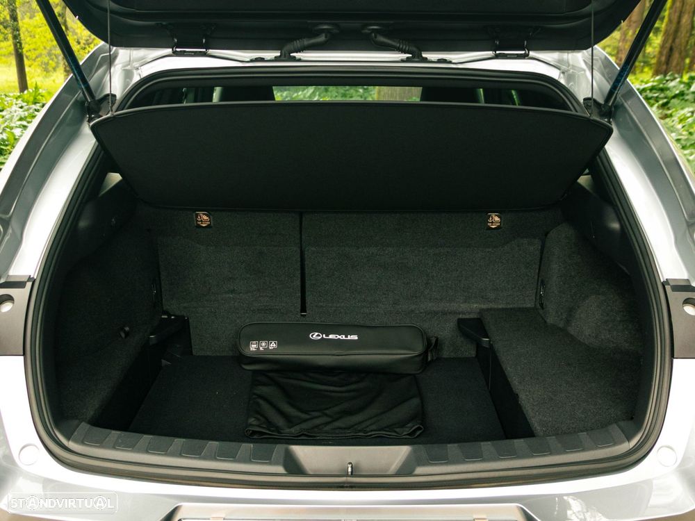 Lexus UX 250h Sport - 16
