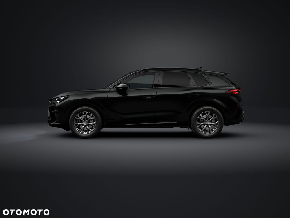 Cupra Terramar - 2
