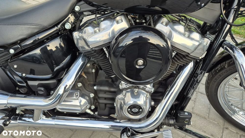 Harley-Davidson Softail Standard - 2