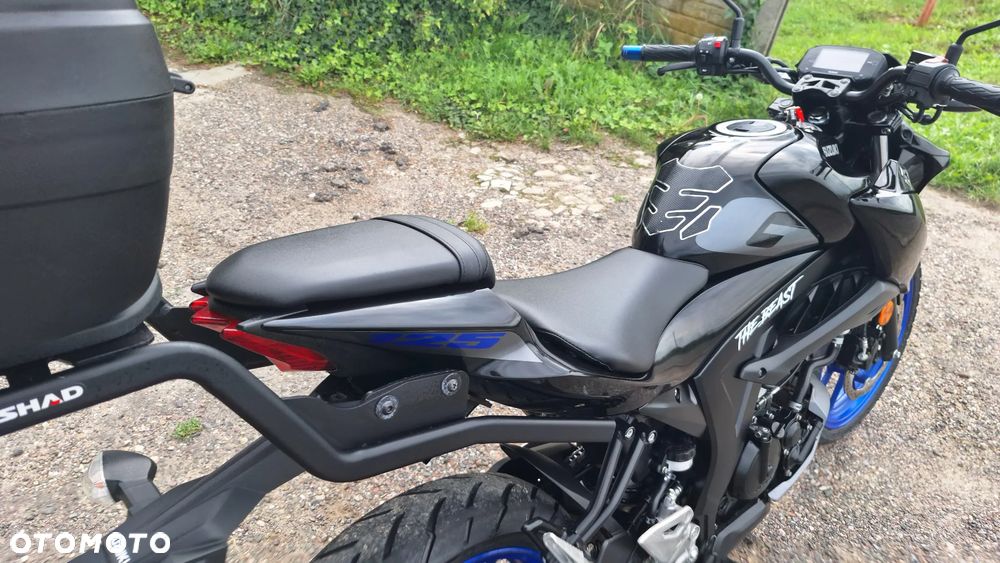 Suzuki GSX - 11