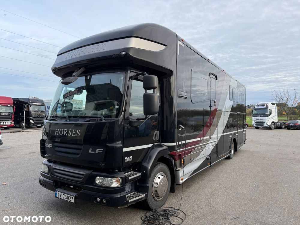 DAF Equitrek Koniowóz, Pop-out - 2