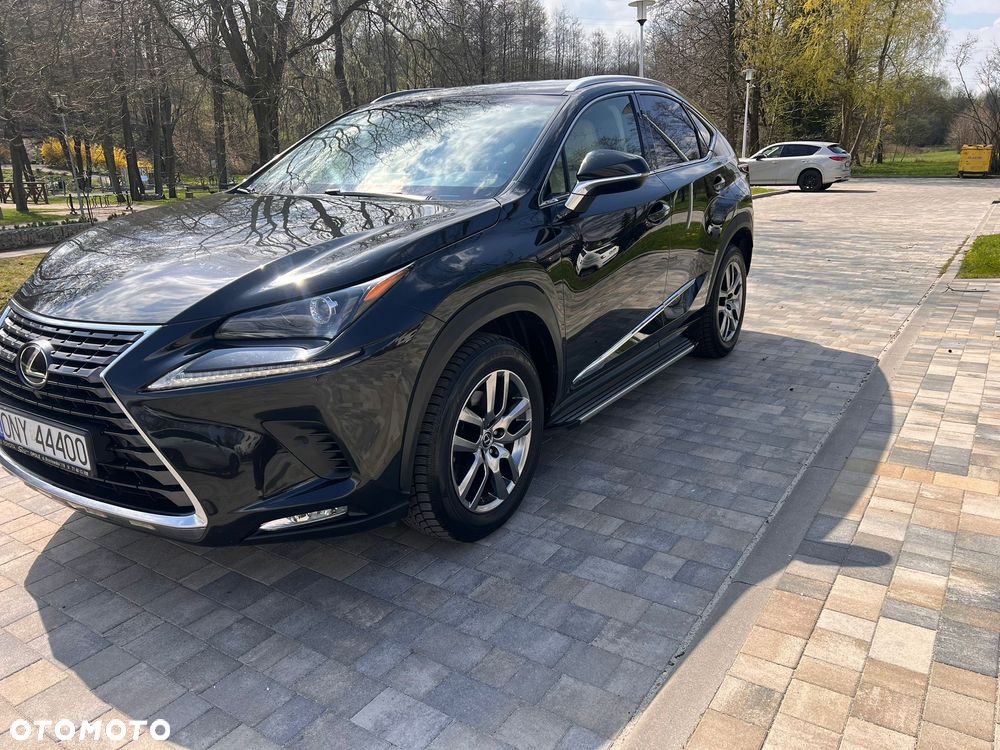 Lexus NX 300 Elegance Optimum AWD - 2
