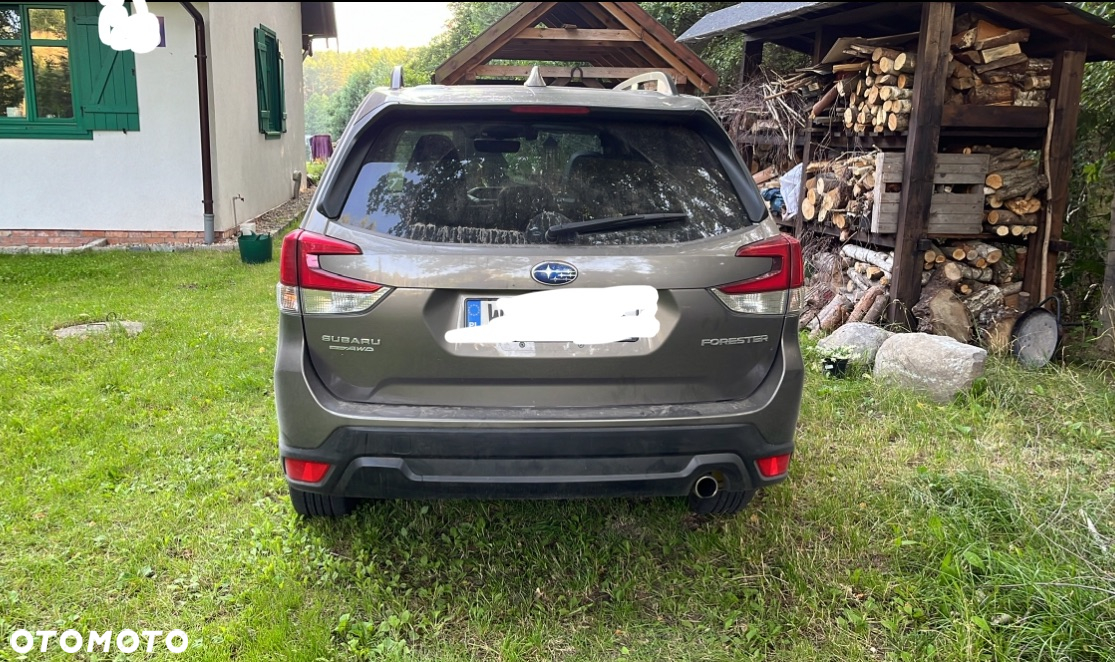 Subaru Forester - 8