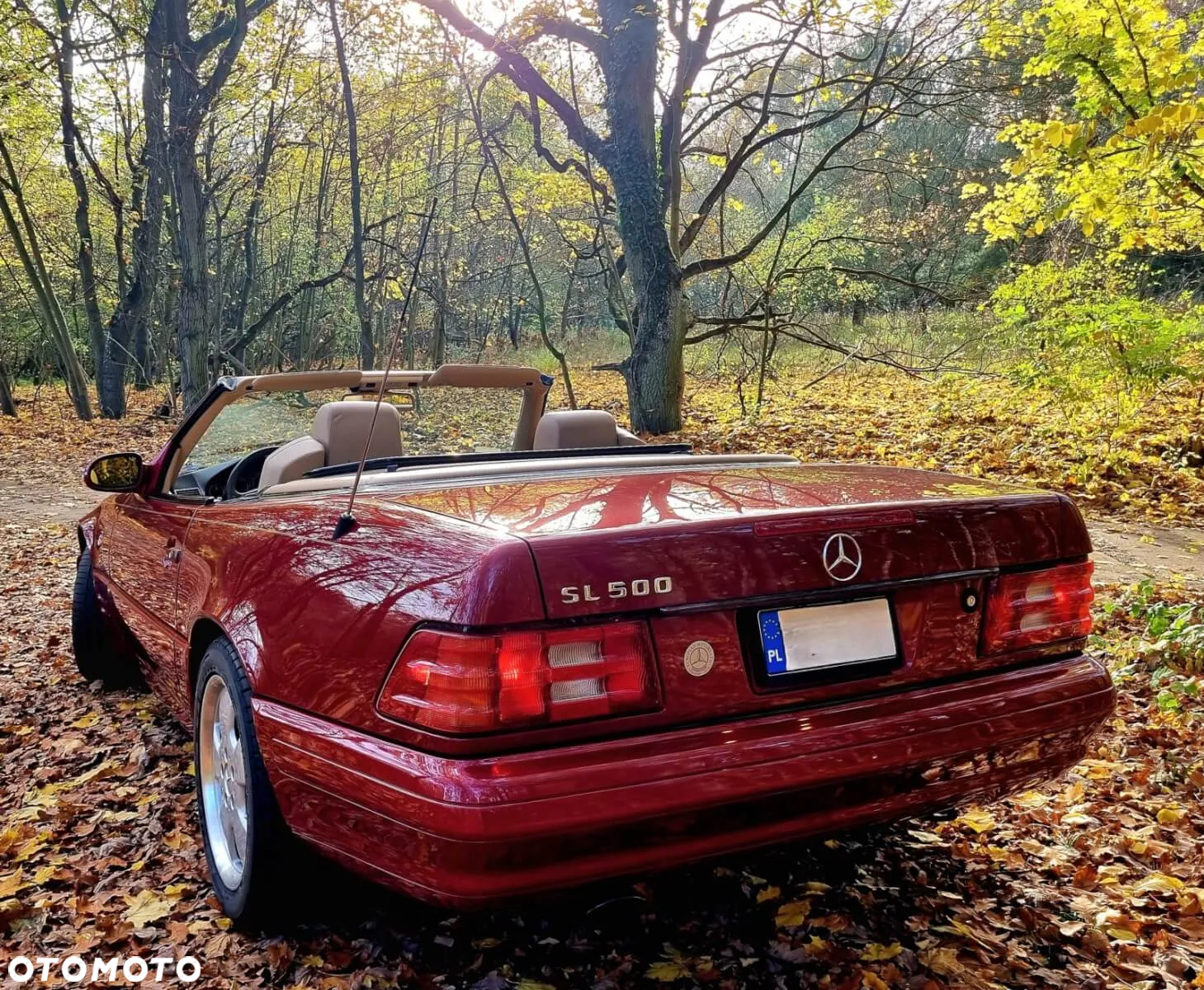 Mercedes-Benz SL 500 - 13