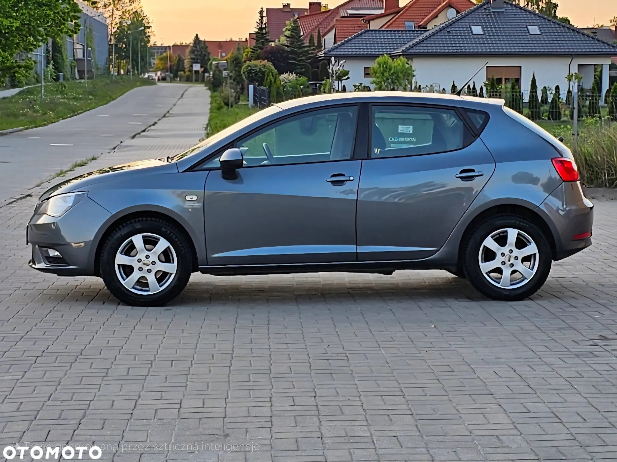 Seat Ibiza - 9