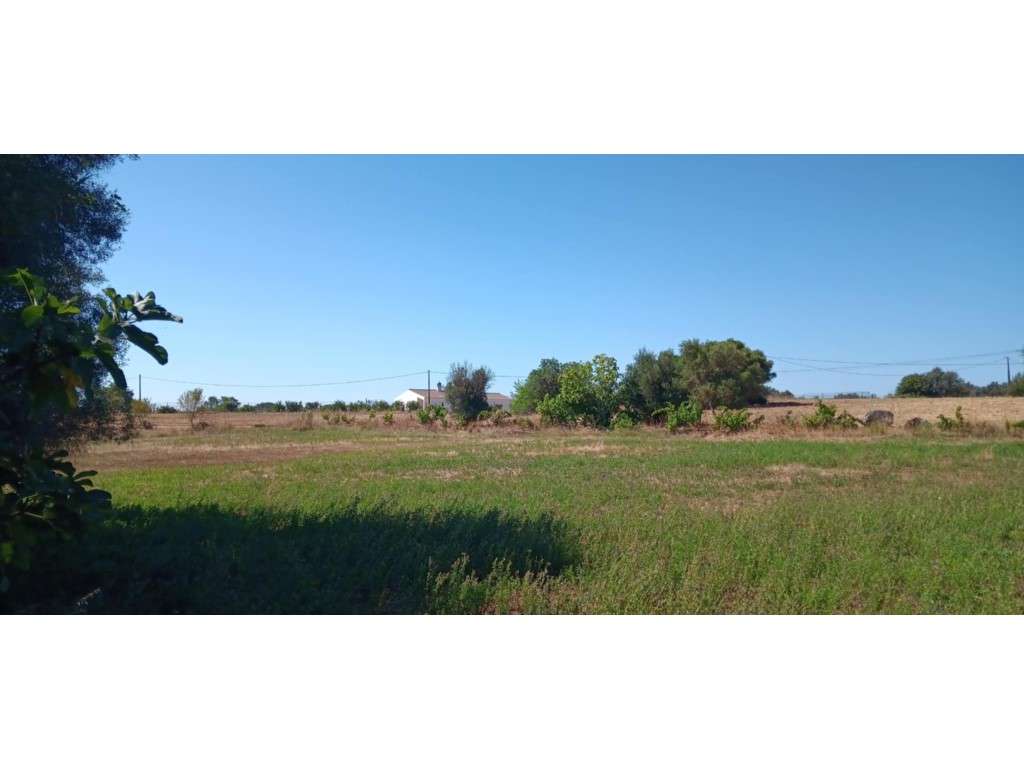 Terreno Rústico 8.480 m² Odiáxere, Lagos - Grande imagem: 3/13