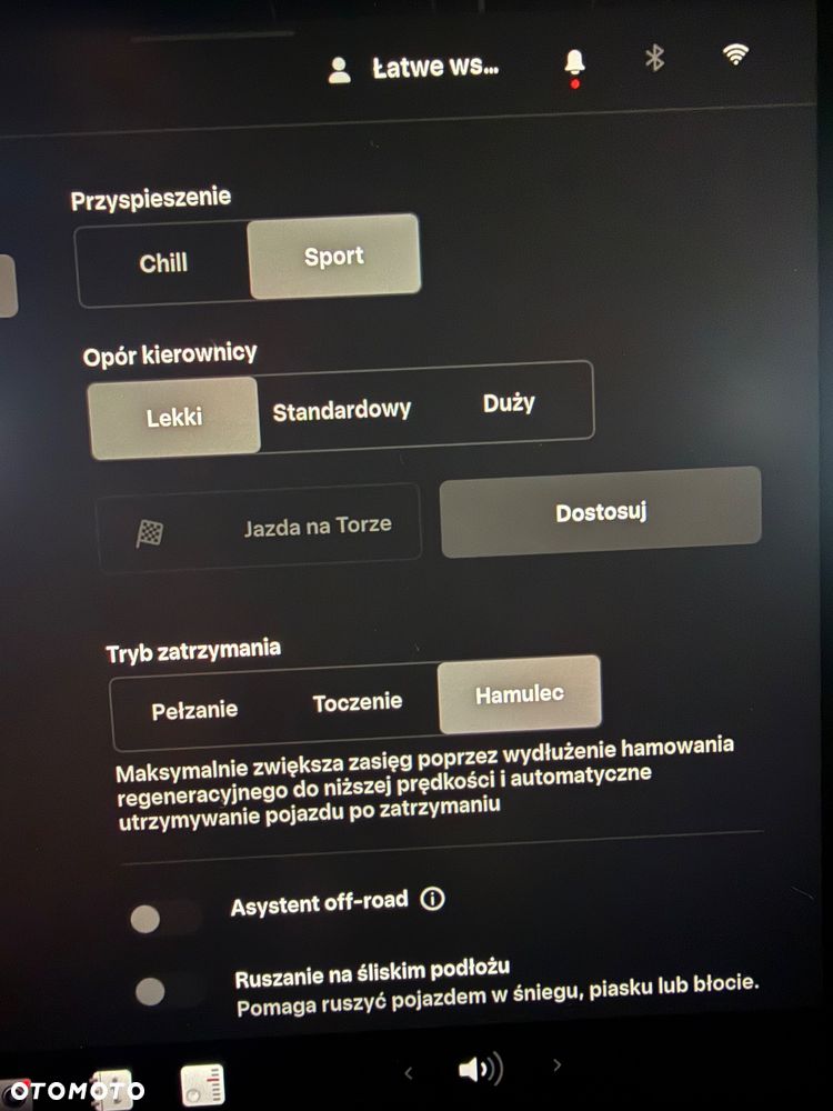 Tesla Model Y Performance AWD - 22