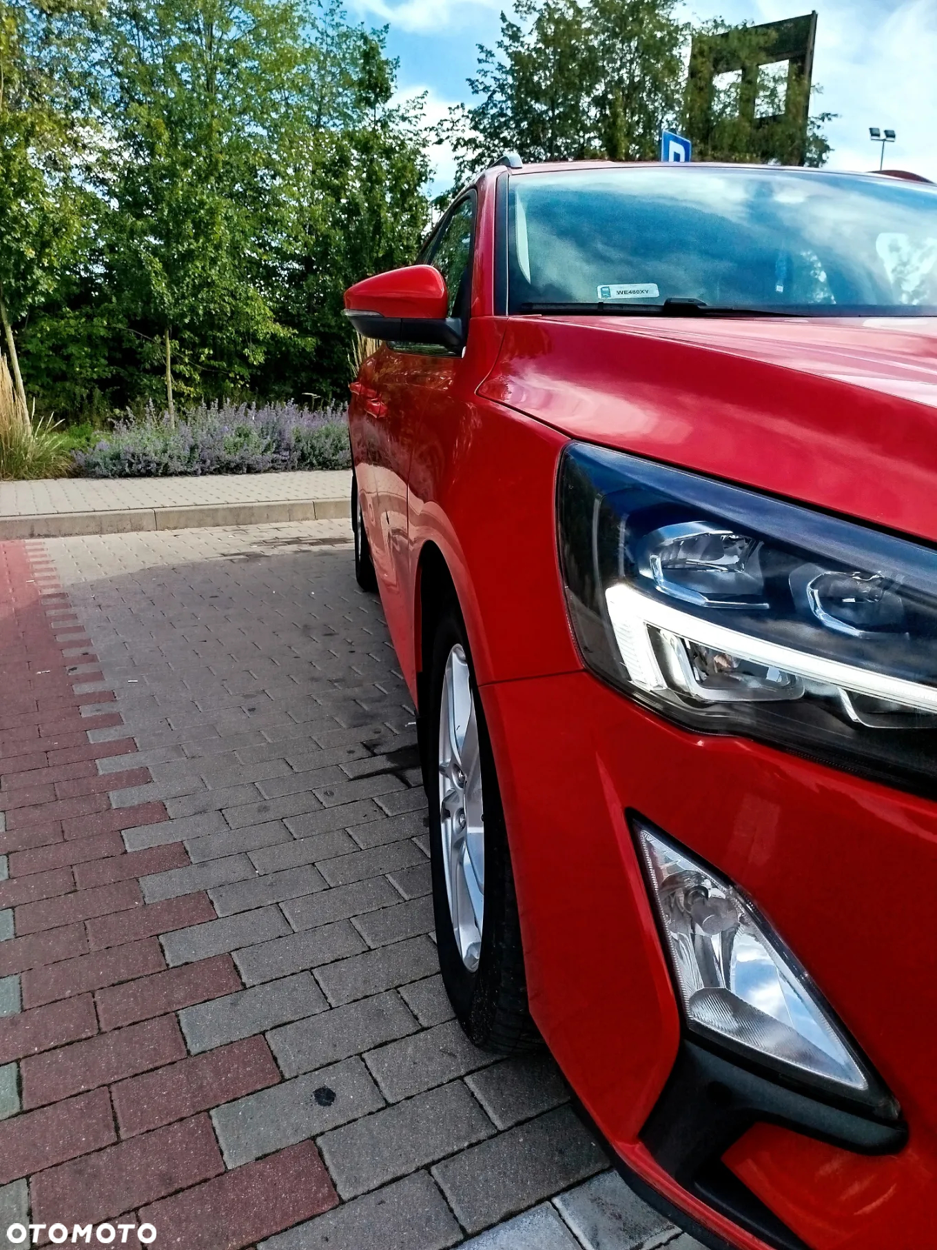Ford Focus 1.5 EcoBlue Trend Edition - 6