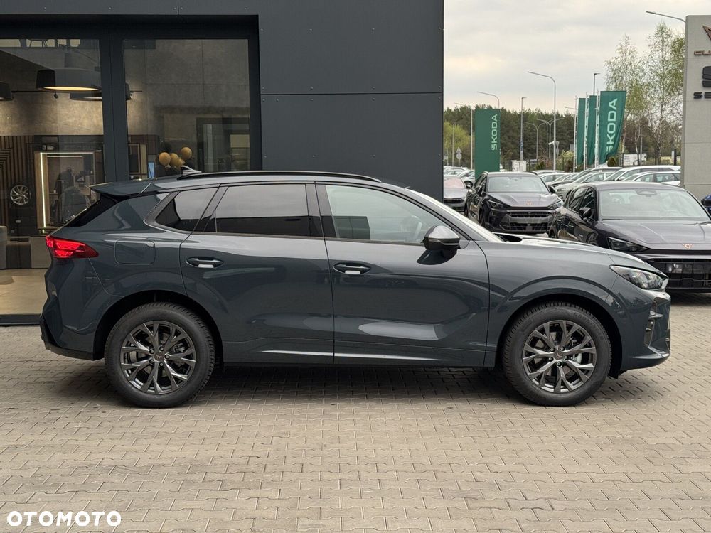 Cupra Terramar - 8