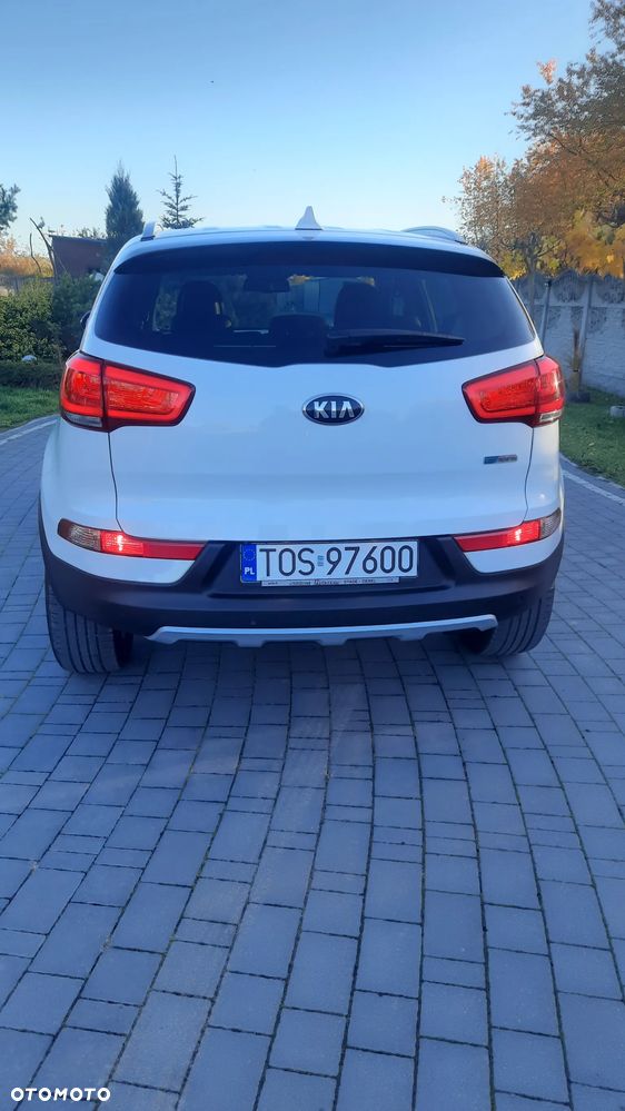 Kia Sportage - 14
