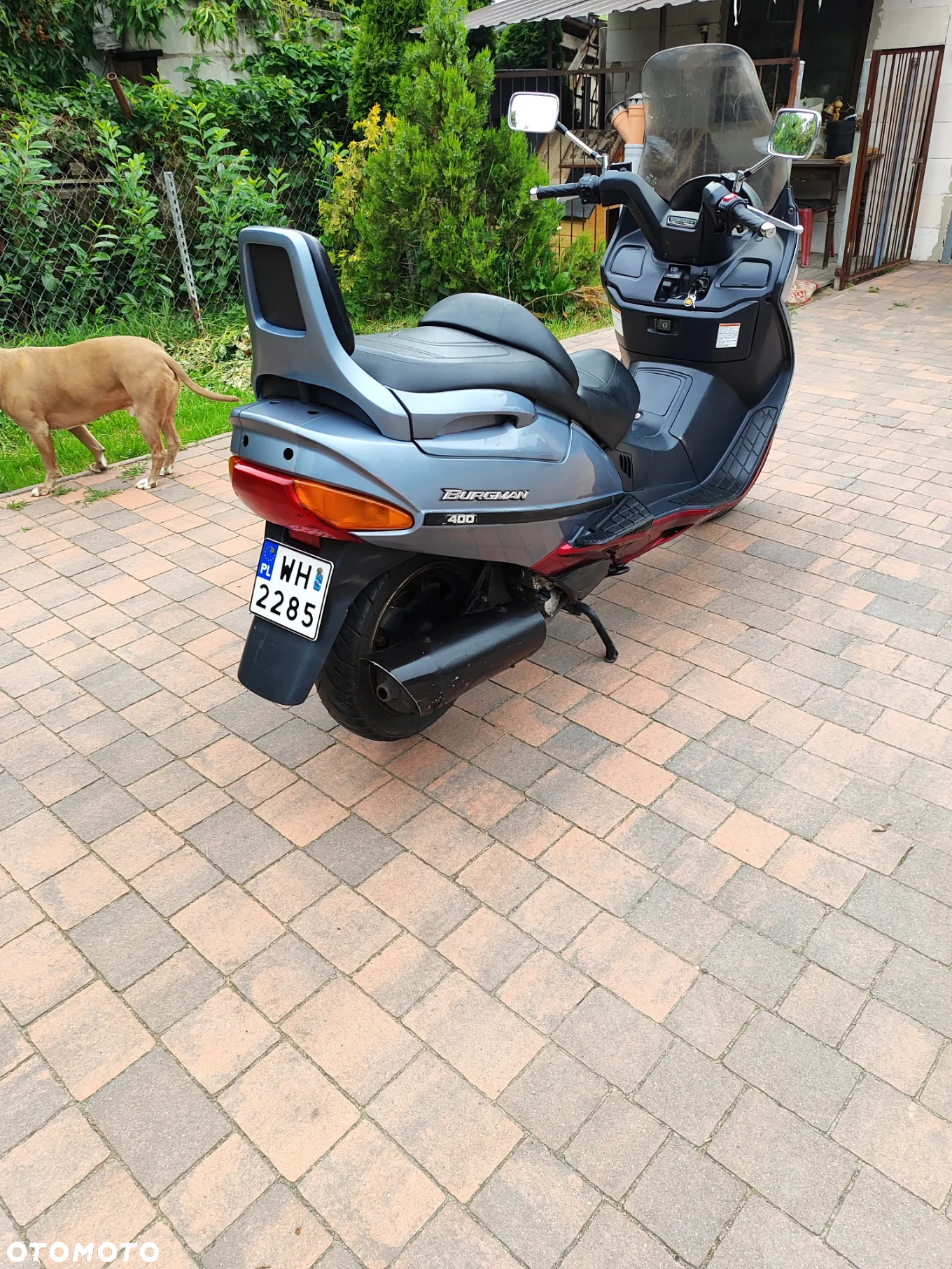 Suzuki Burgman - 5