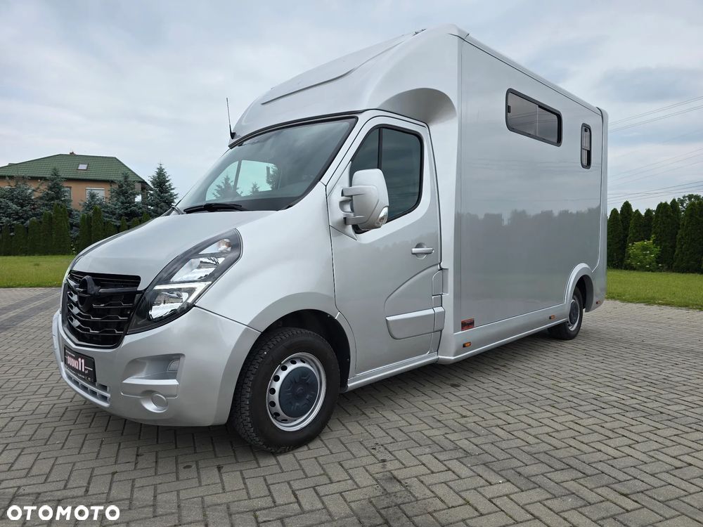 Opel Movano-Koniowóz - 9