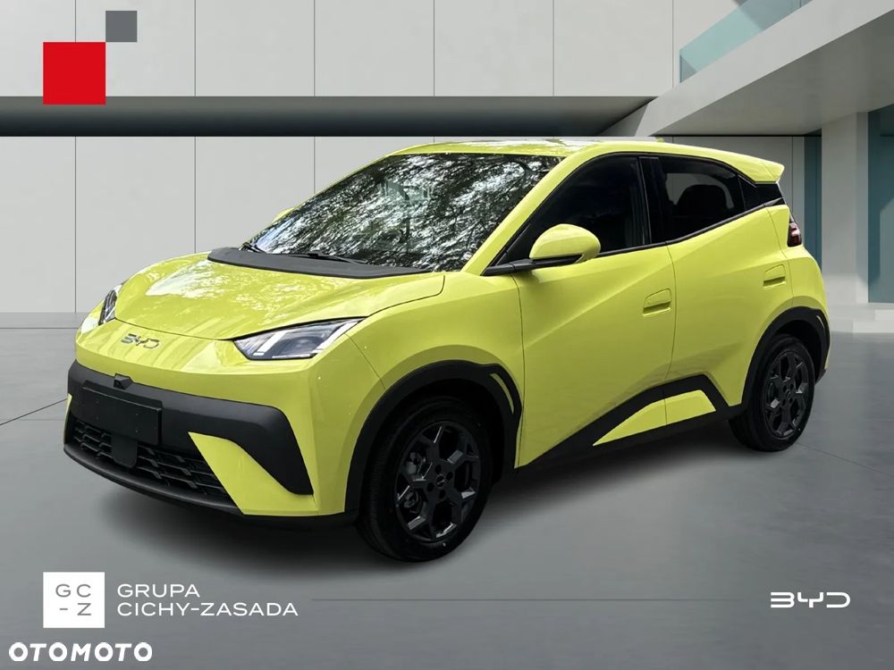 BYD Dolphin Mini - 1