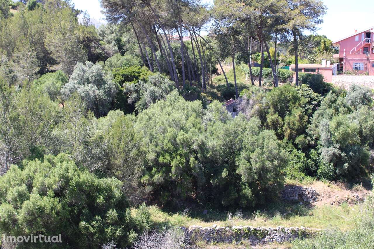 Terreno misto em Cascais - Grande imagem: 5/58