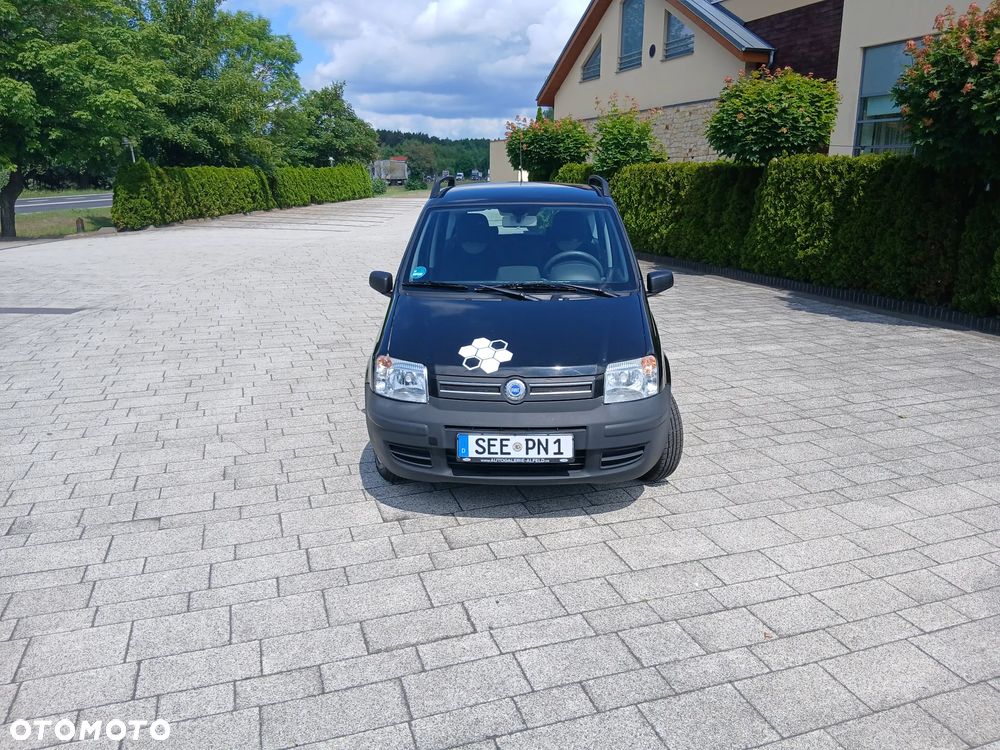 Fiat Panda 1.2 Emotion - 12