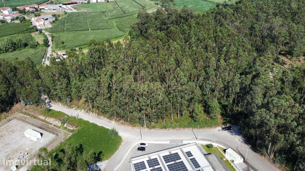 Terreno Rustico em Mosteiró - Grande imagem: 2/9