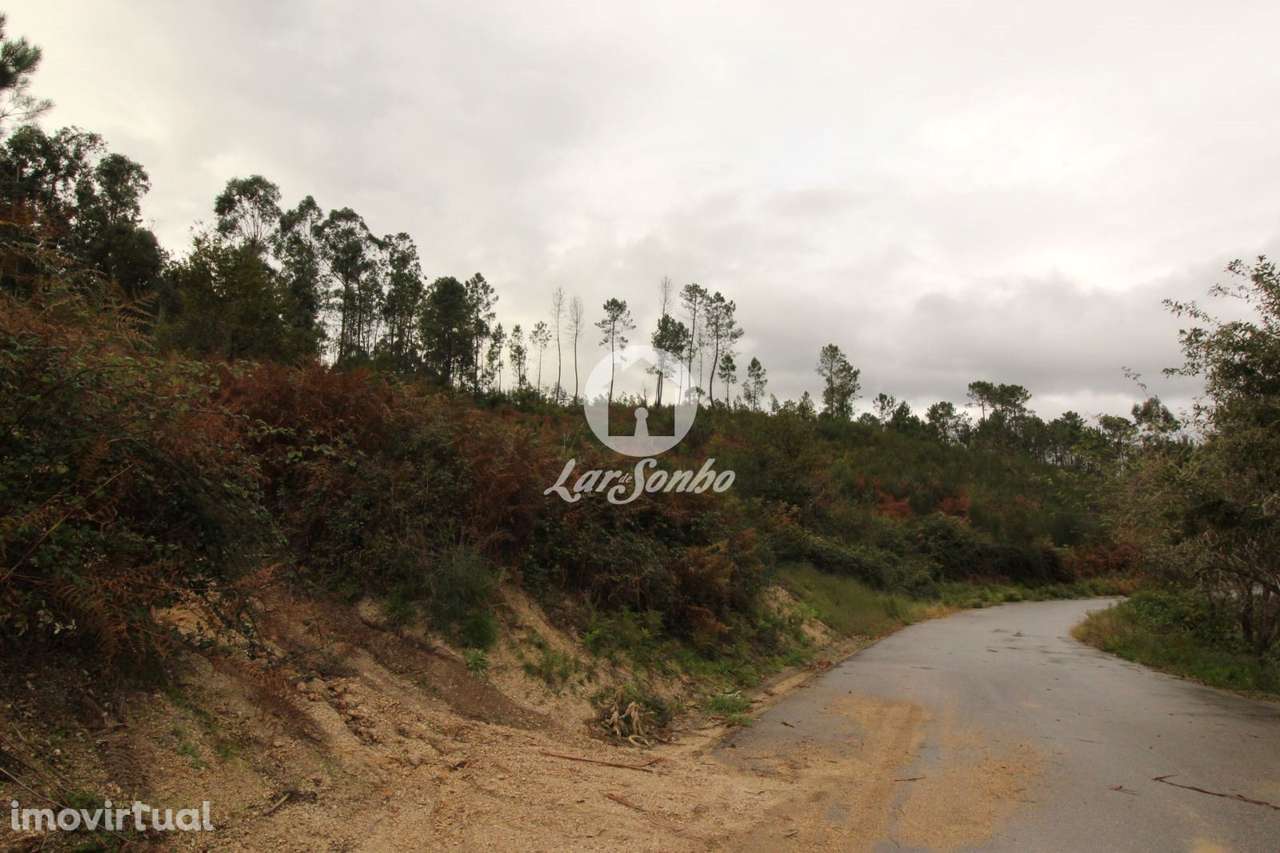 Terreno Venda Agilde Celorico de Basto - Grande imagem: 2/8