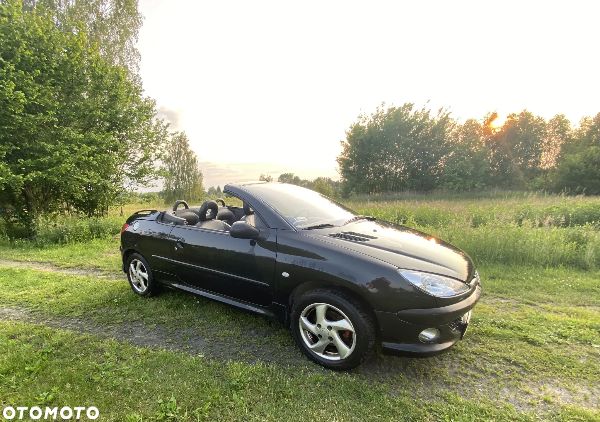 Peugeot 206 CC - 3