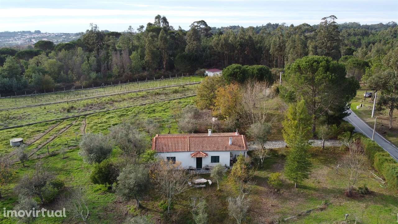 Quinta T2 - Privacidade e Tranquilidade em plena serra - Grande imagem: 2/20