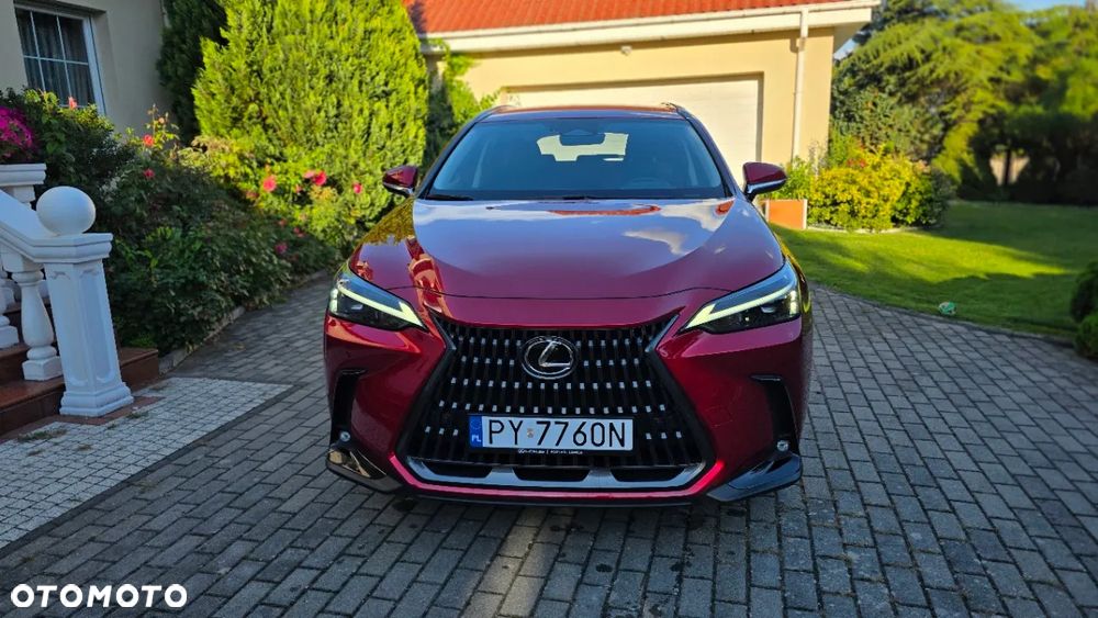 Lexus NX 350h Prestige 2WD - 2