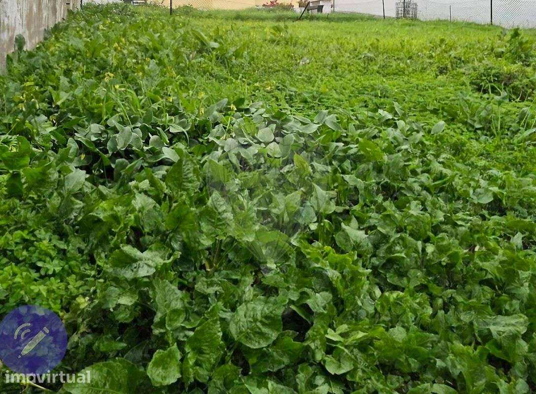 Terreno  para venda - Grande imagem: 3/4