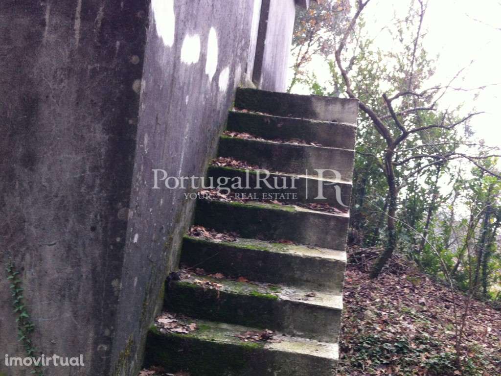 Quinta em socalcos com casebre - Grande imagem: 4/12