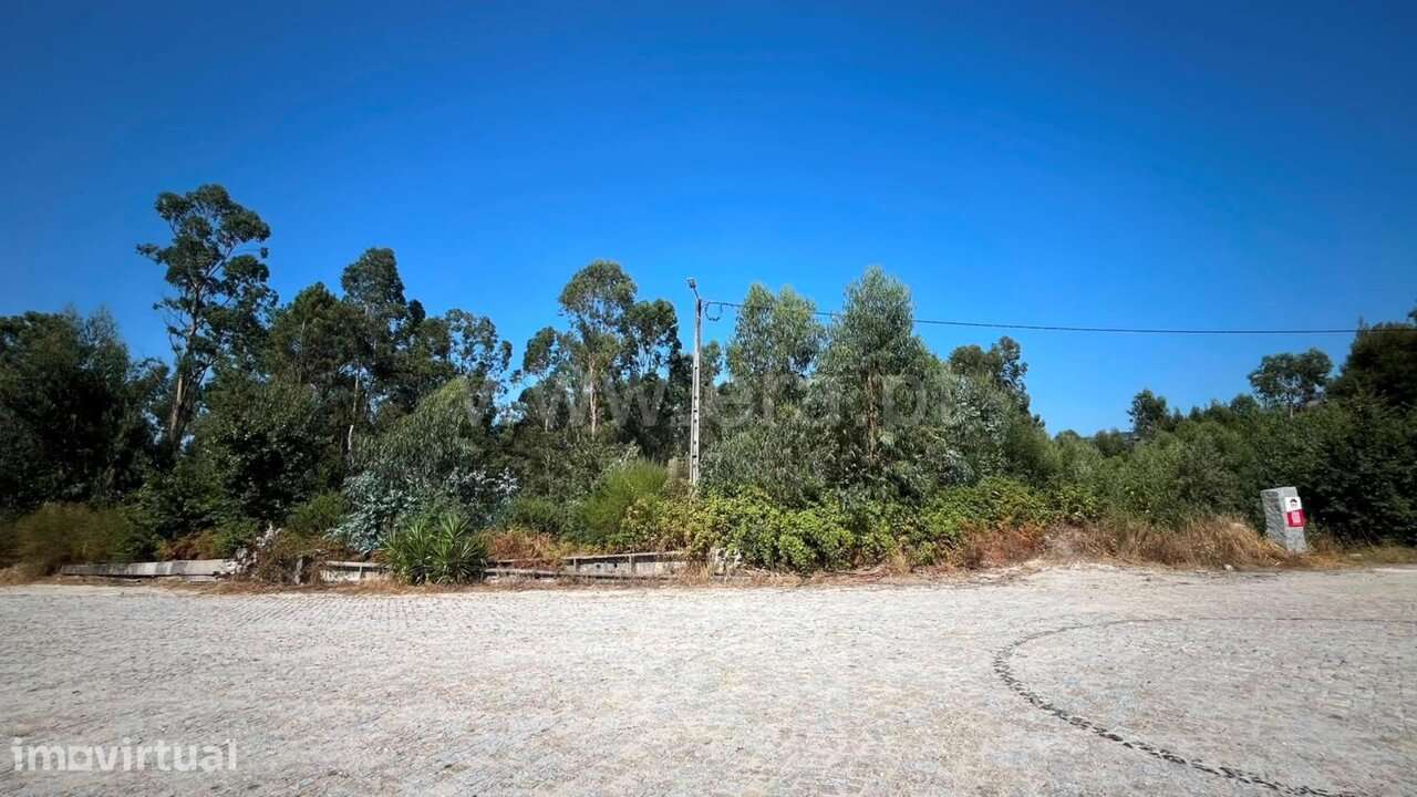 Terreno Rústico / Marco de Canaveses, Vila Boa do Bispo - Grande imagem: 4/6