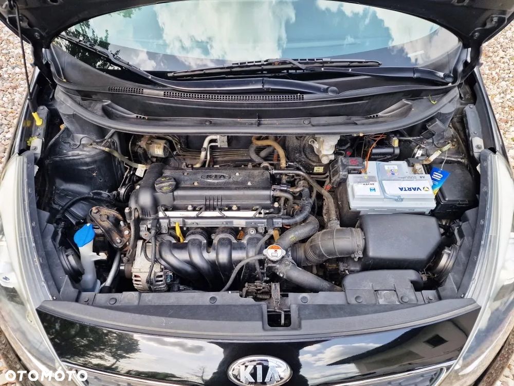 Kia Rio - 19
