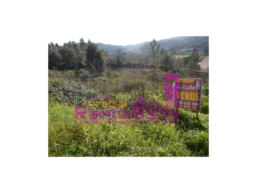 2 Lotes de terreno em Urbanização- Perto dos Carvalhais-Coimbra - Grande imagem: 2/3