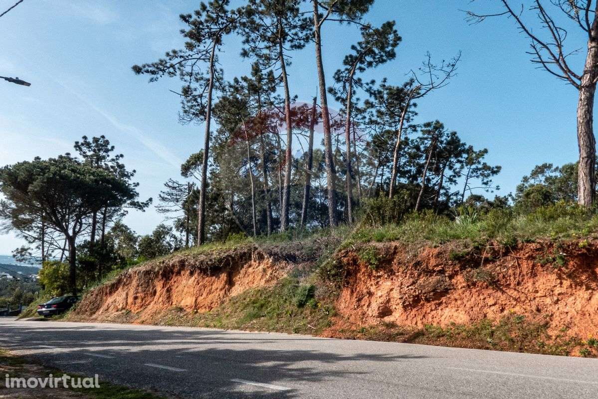 Terreno  para venda - Grande imagem: 3/13