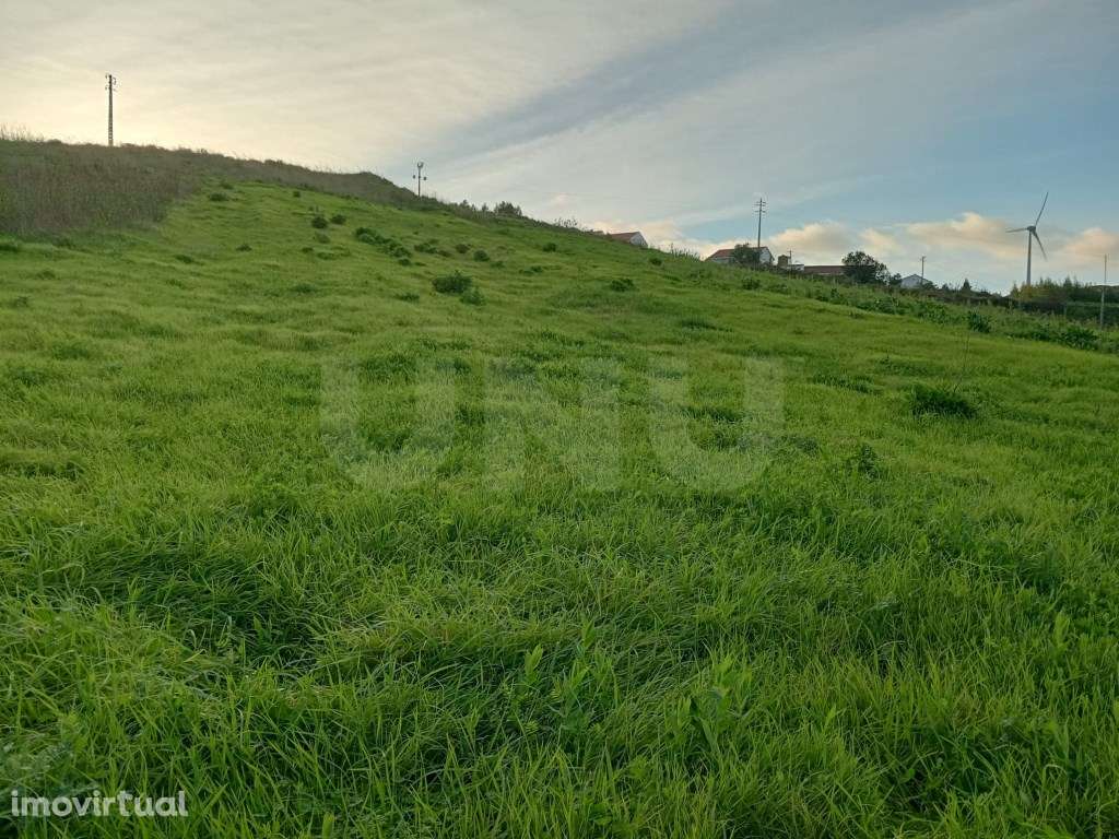 Terreno rústico, para venda, Runa - Grande imagem: 5/8
