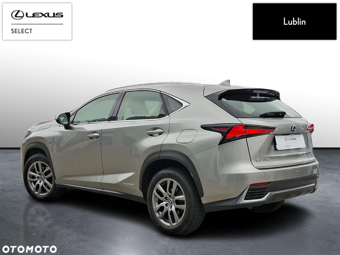 Lexus NX - 3