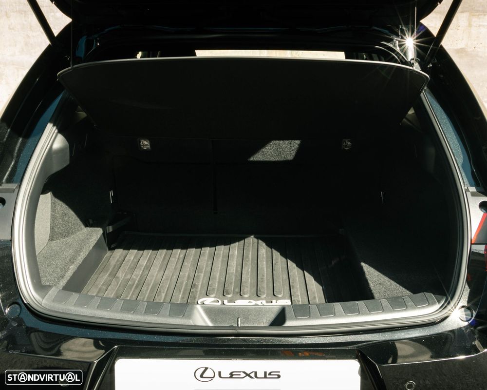 Usado Lexus UX 250h 2025 - 47 000 EUR, 30 180 km - Standvirtual.com