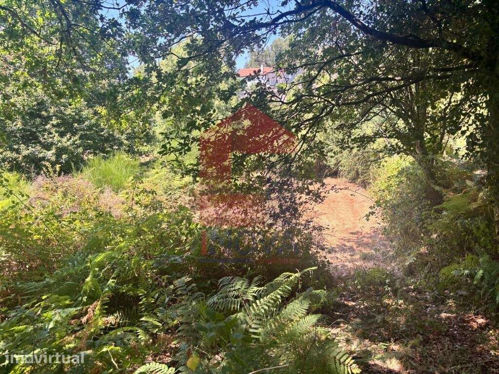 Terreno agrícola, Duas Igrejas - Grande imagem: 3/19