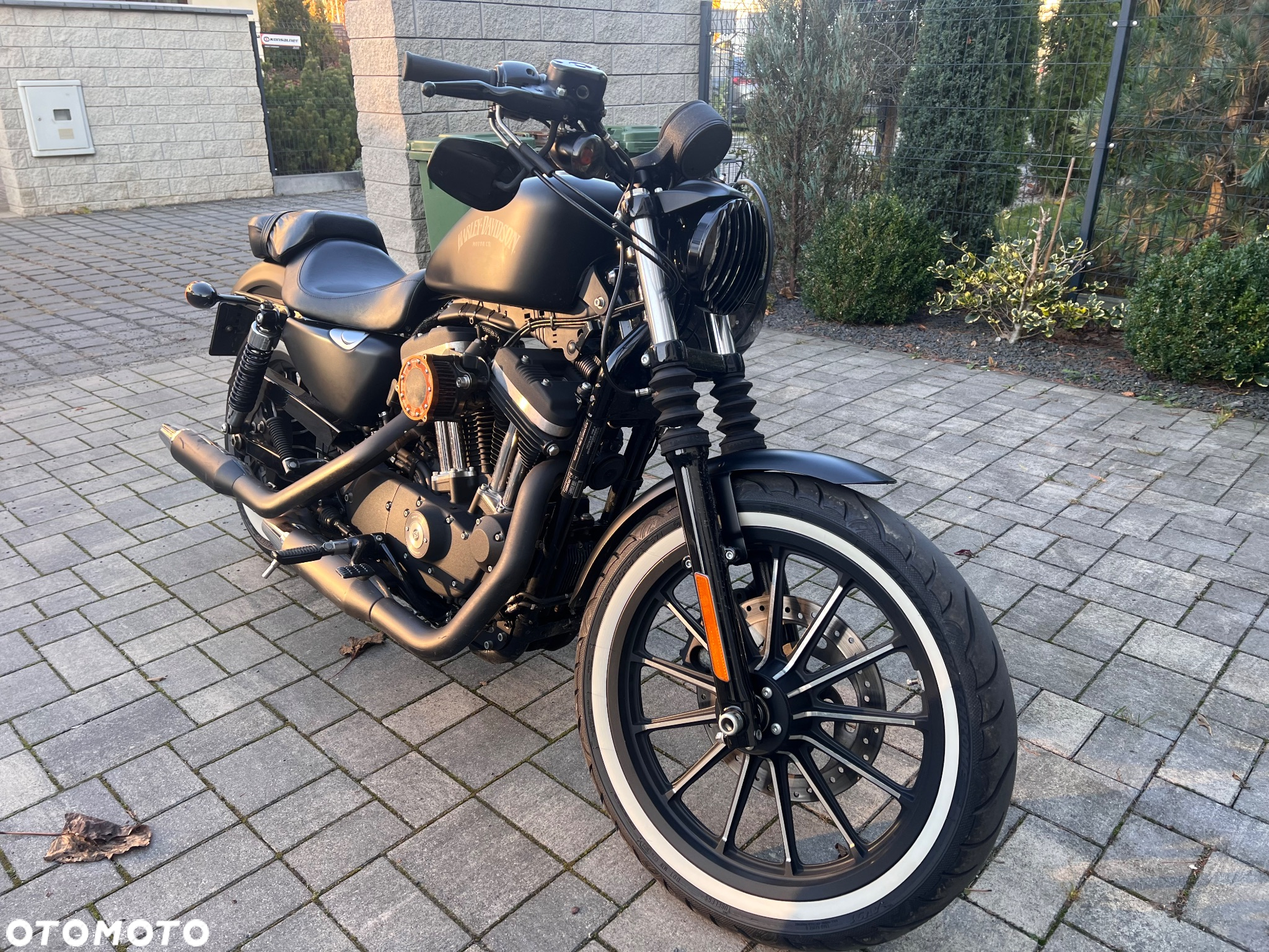 Harley-Davidson Sportster Iron 883 - 3