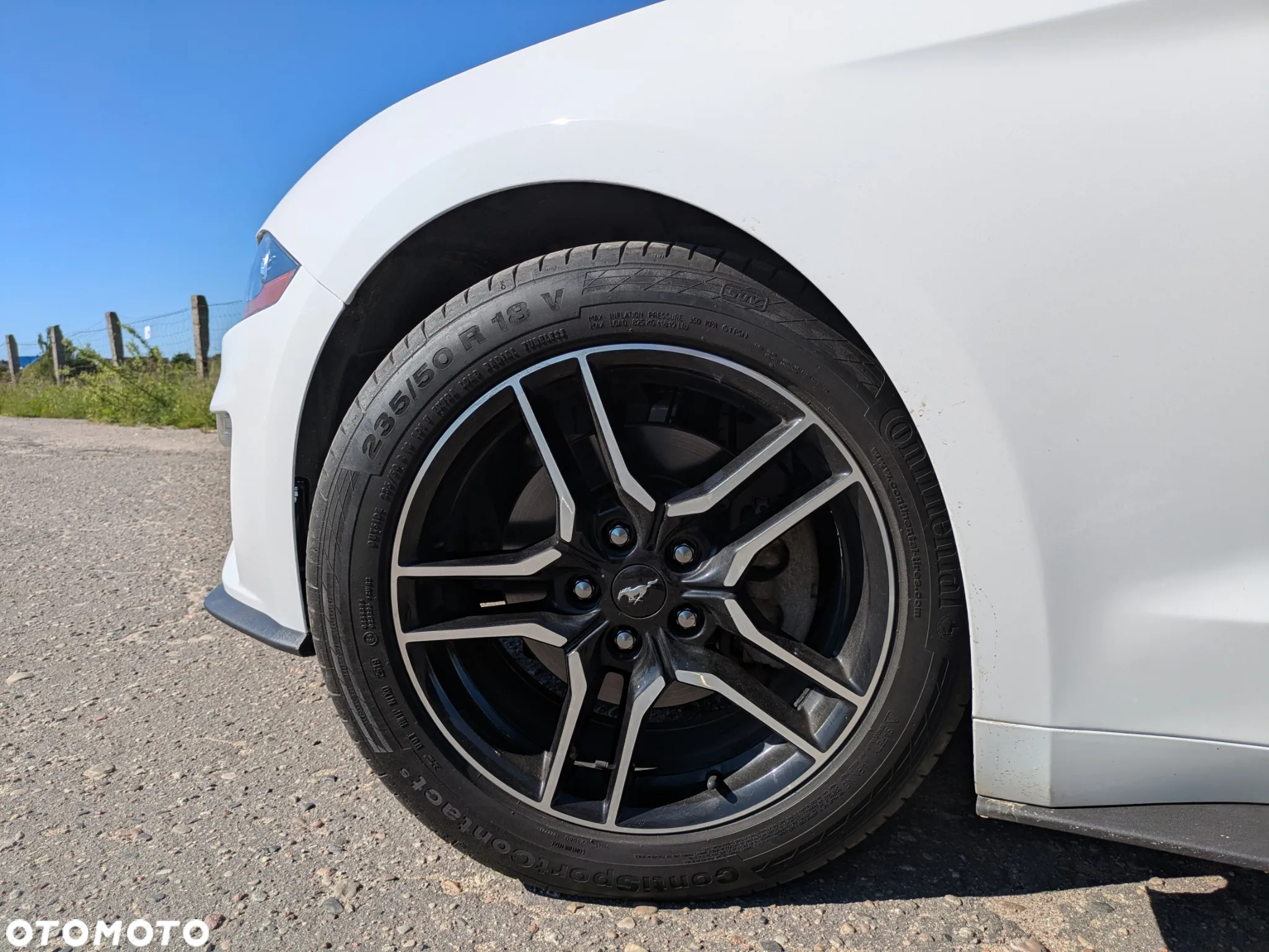 Ford Mustang 2.3 EcoBoost - 24