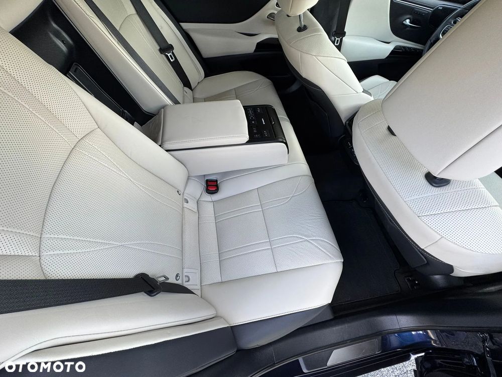 Lexus ES 300h Omotenashi - 19