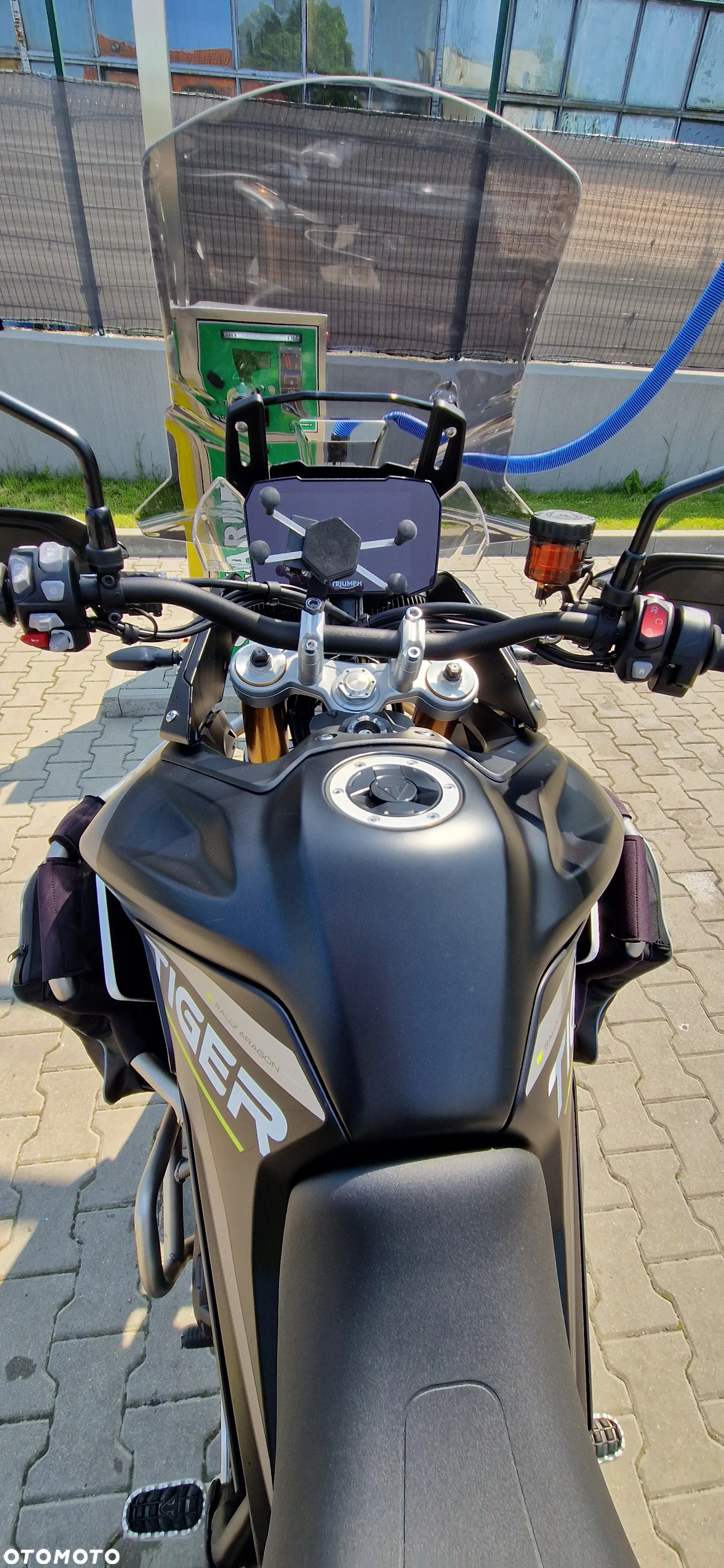 Triumph Tiger - 14