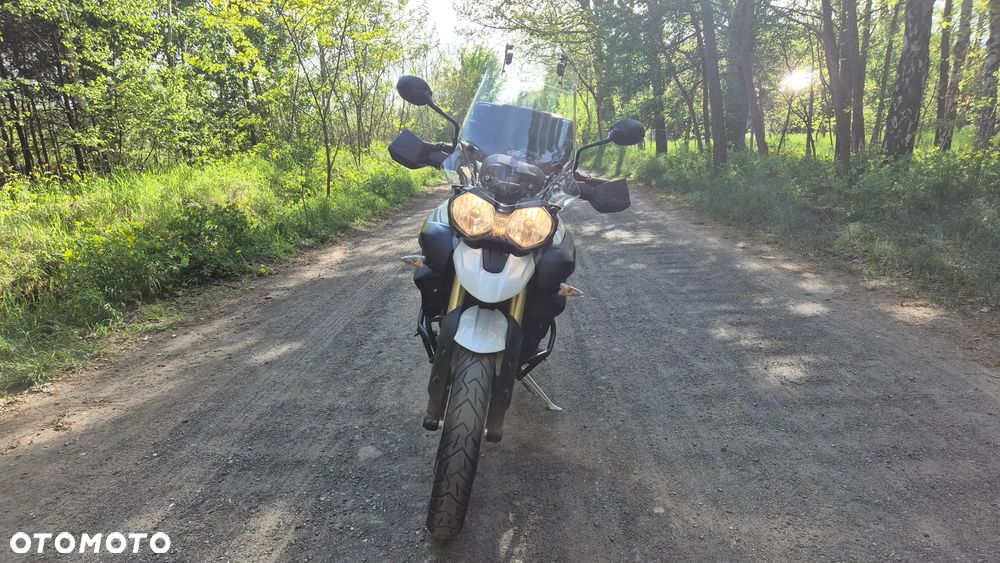 Triumph Tiger - 9
