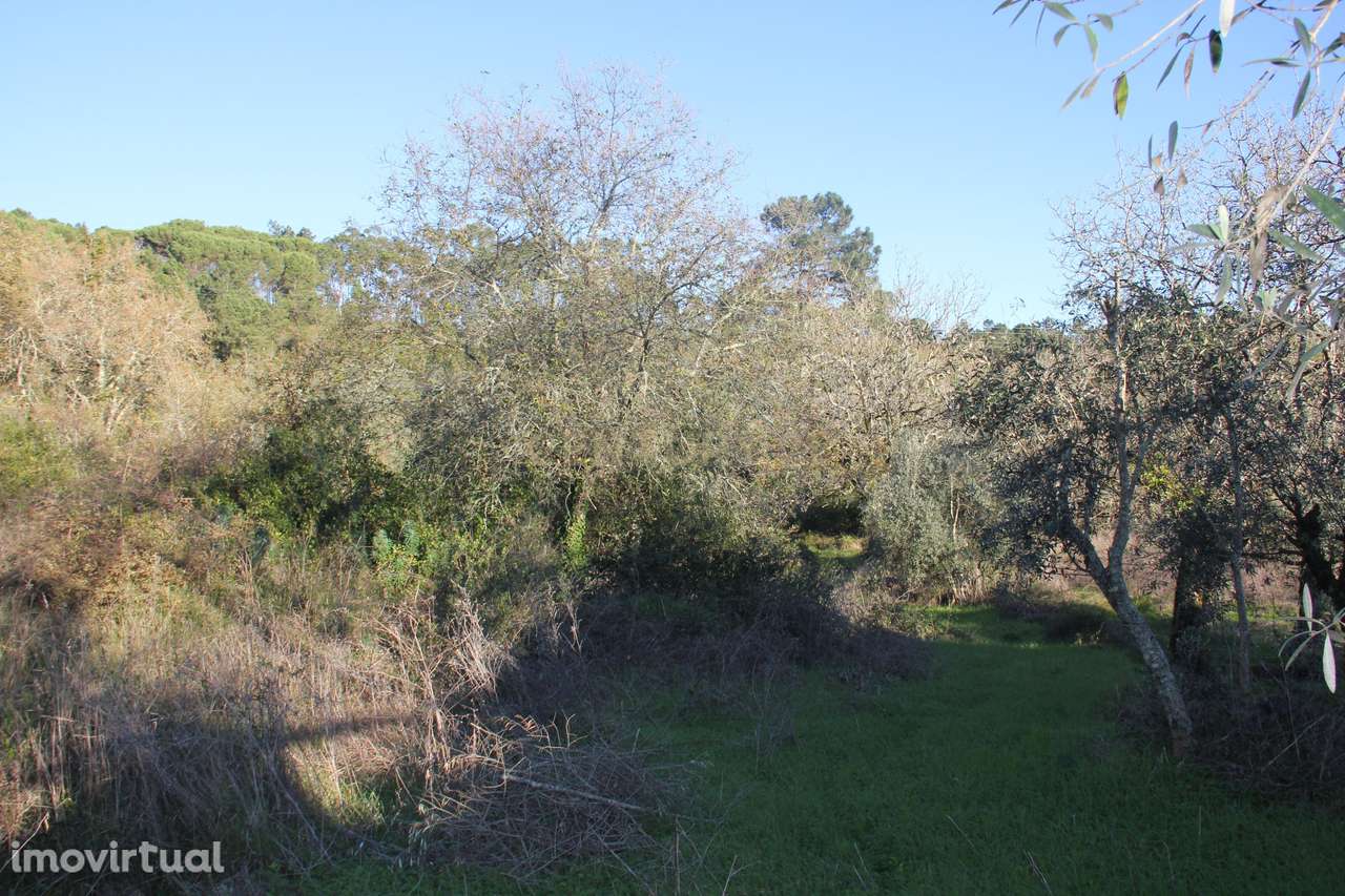 Terreno para construção de moradia - Grande imagem: 3/9