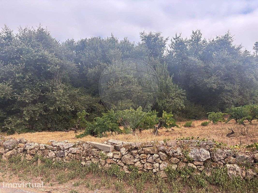 Terreno  para venda - Grande imagem: 3/4