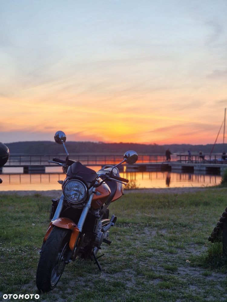 Honda Hornet - 9
