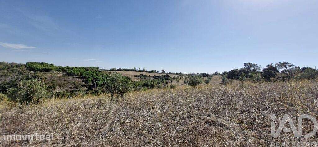 Terreno em Abitureiras de 17600,00 m2 - Grande imagem: 2/25