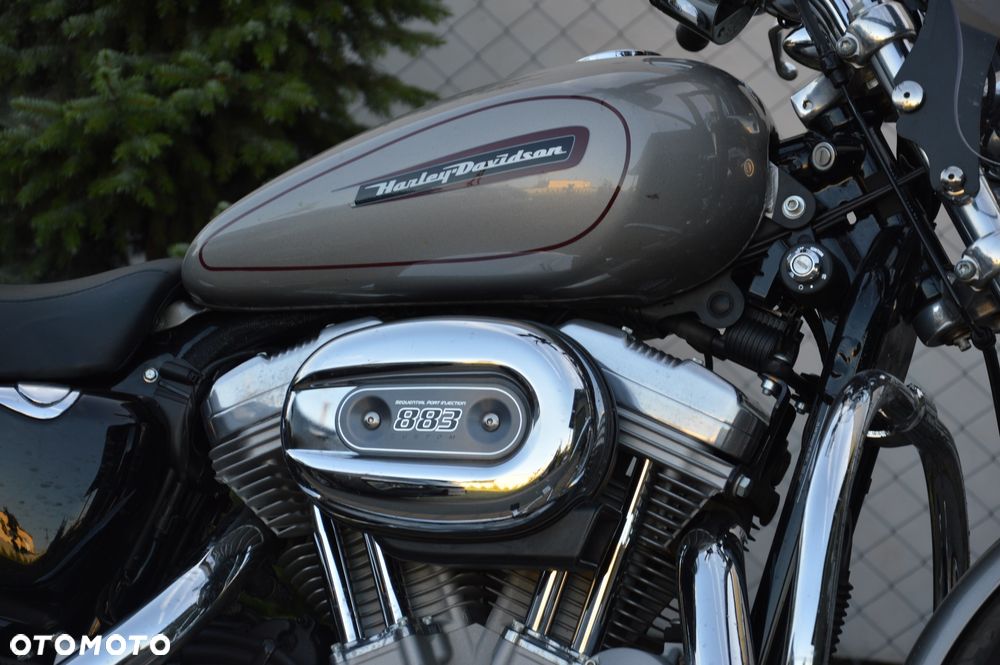 Harley-Davidson Sportster Custom 883C - 12