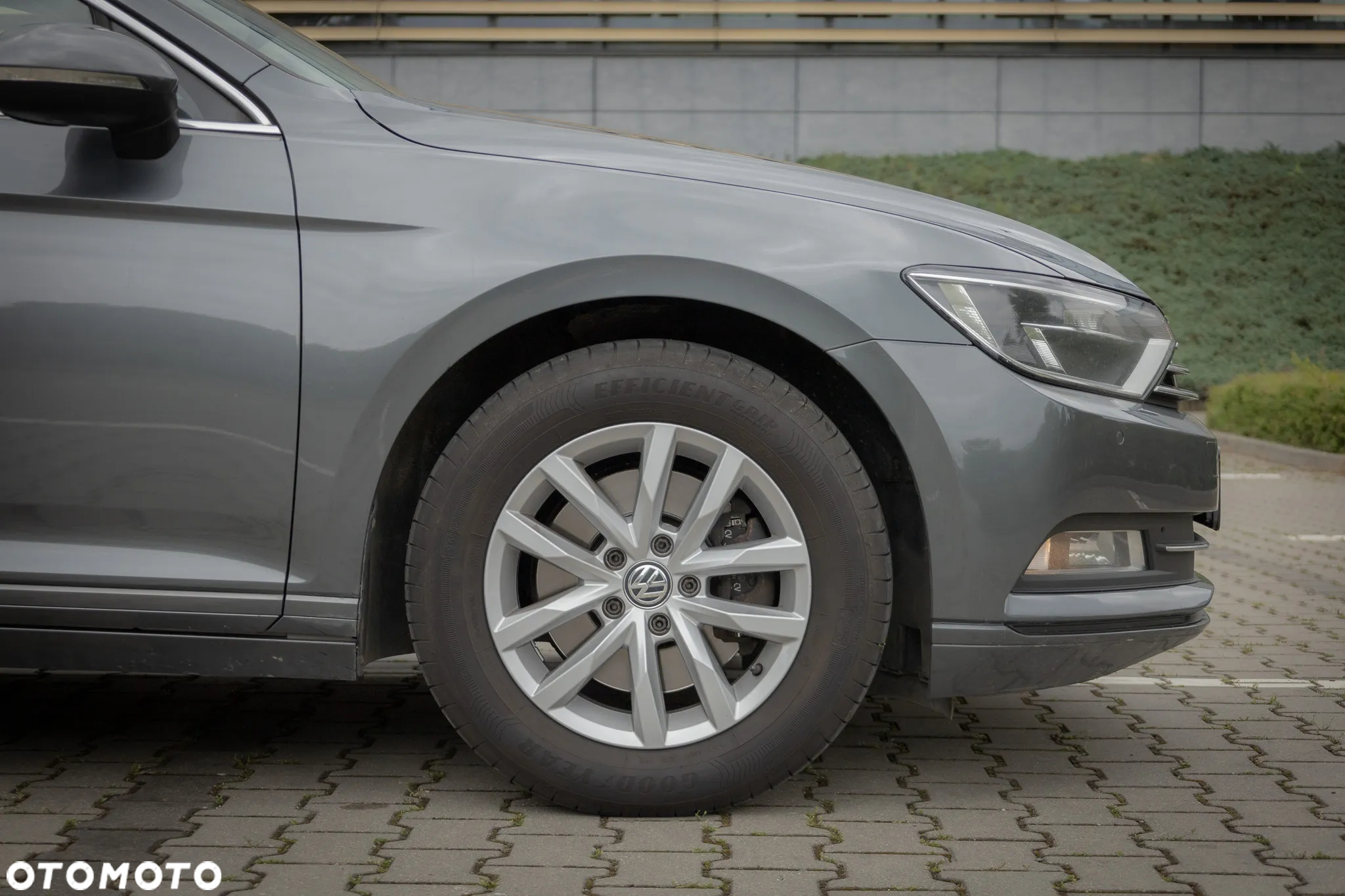 Volkswagen Passat - 19