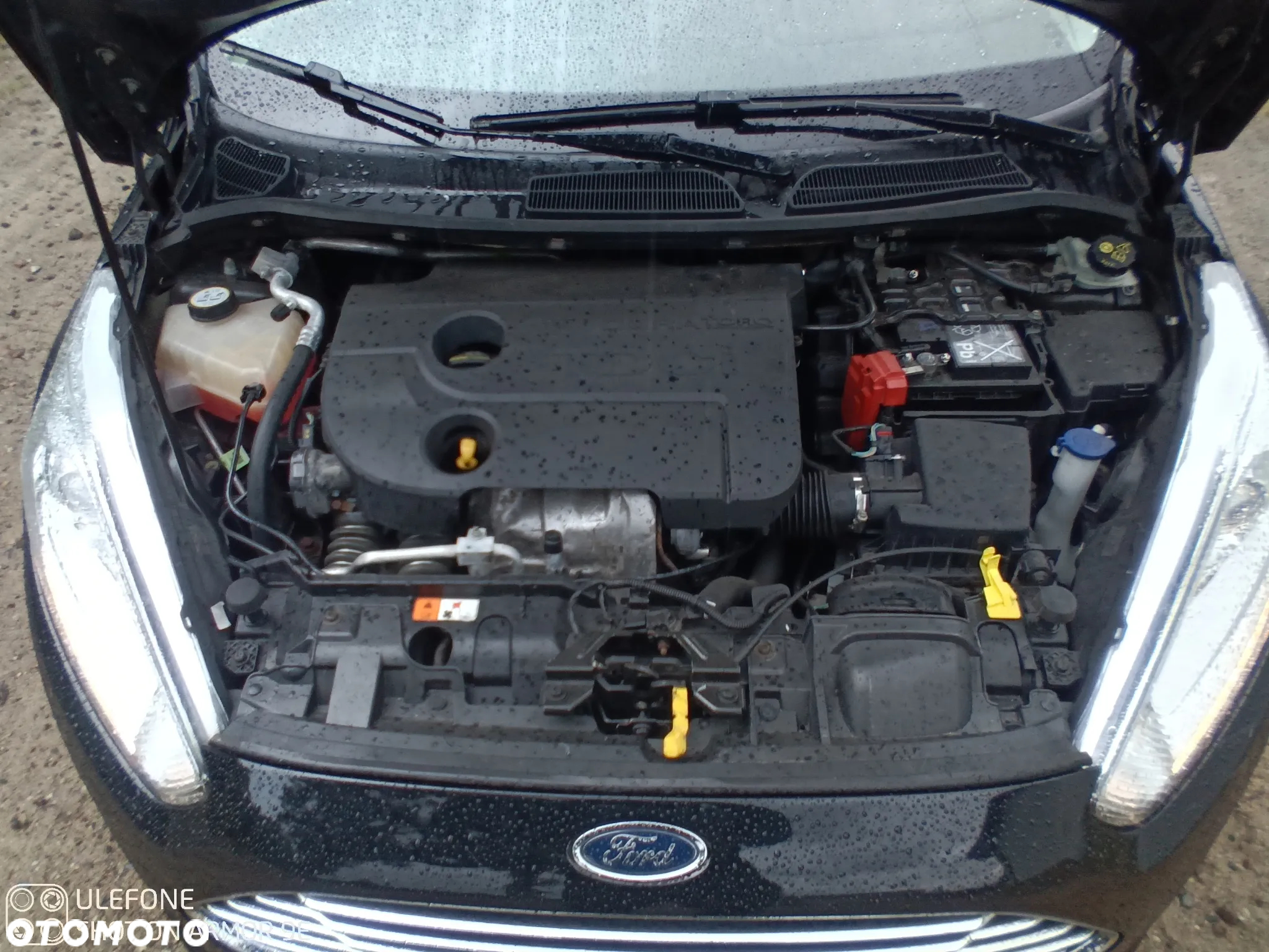 Ford Fiesta 1.6 TDCI Econetic Trend - 10