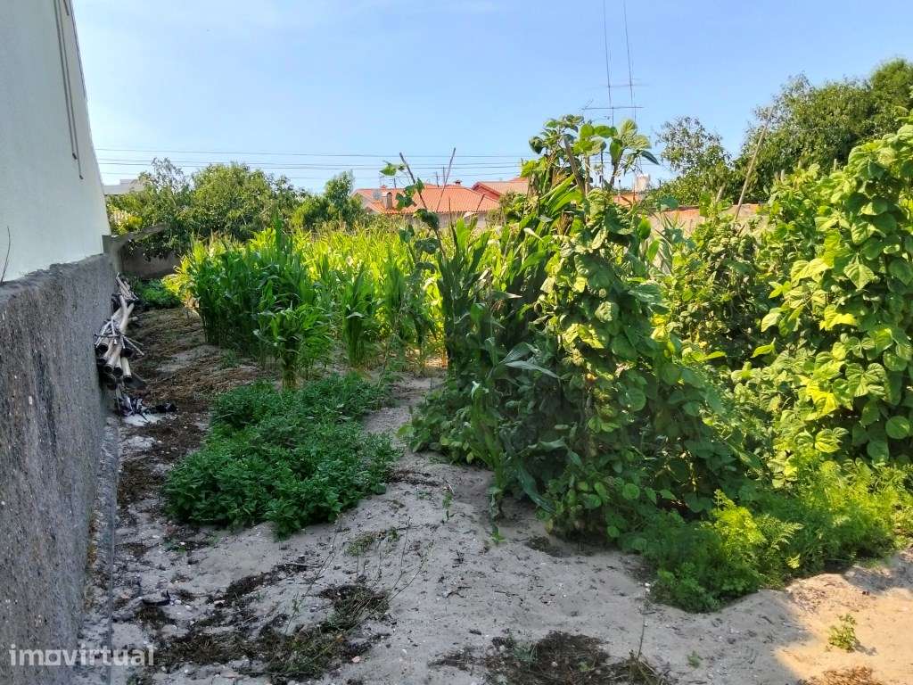 Terreno para construção - Gafanha do Carmo - Grande imagem: 3/12
