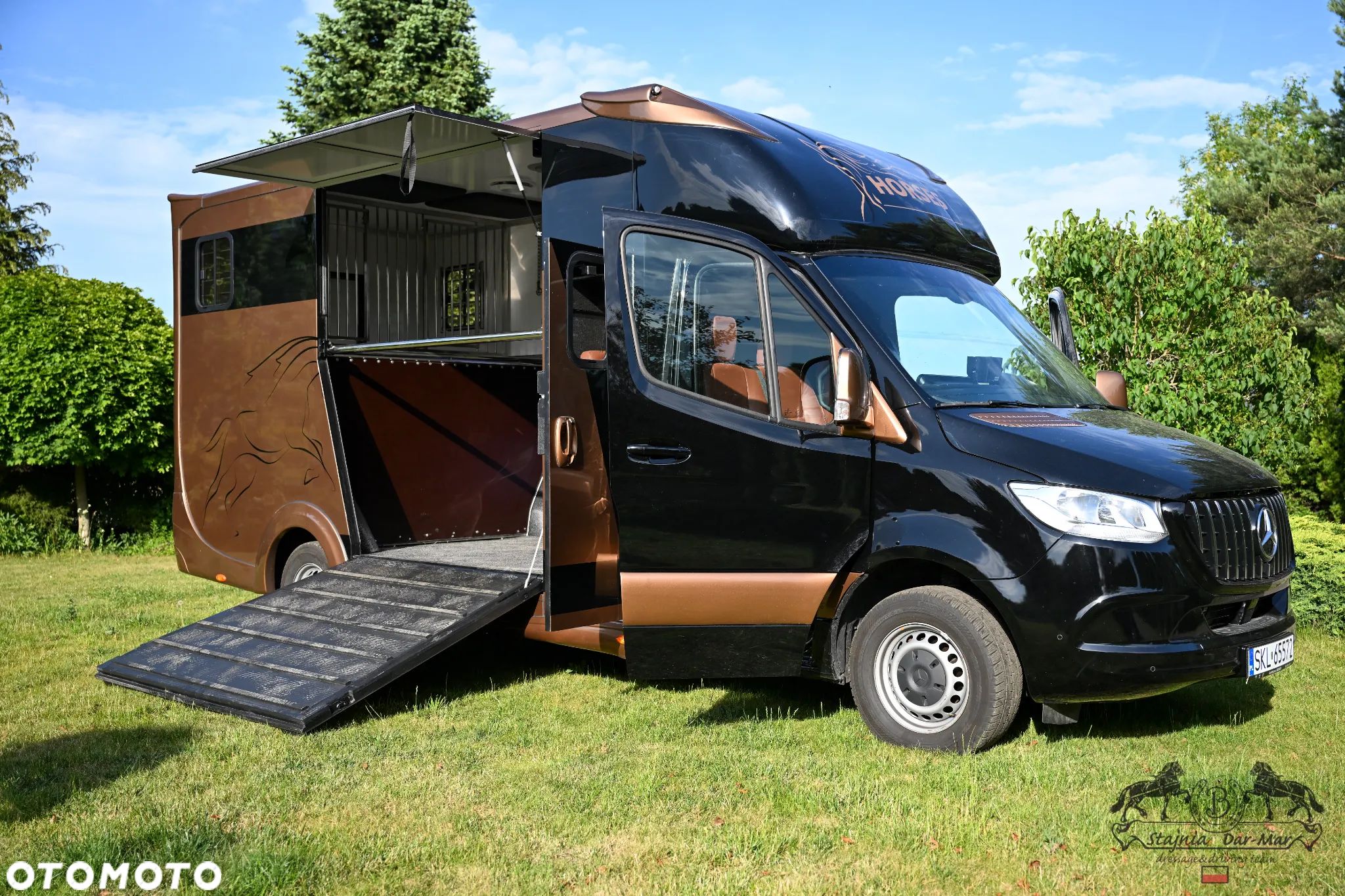 Mercedes-Benz Sprinter Koniowóz - 1