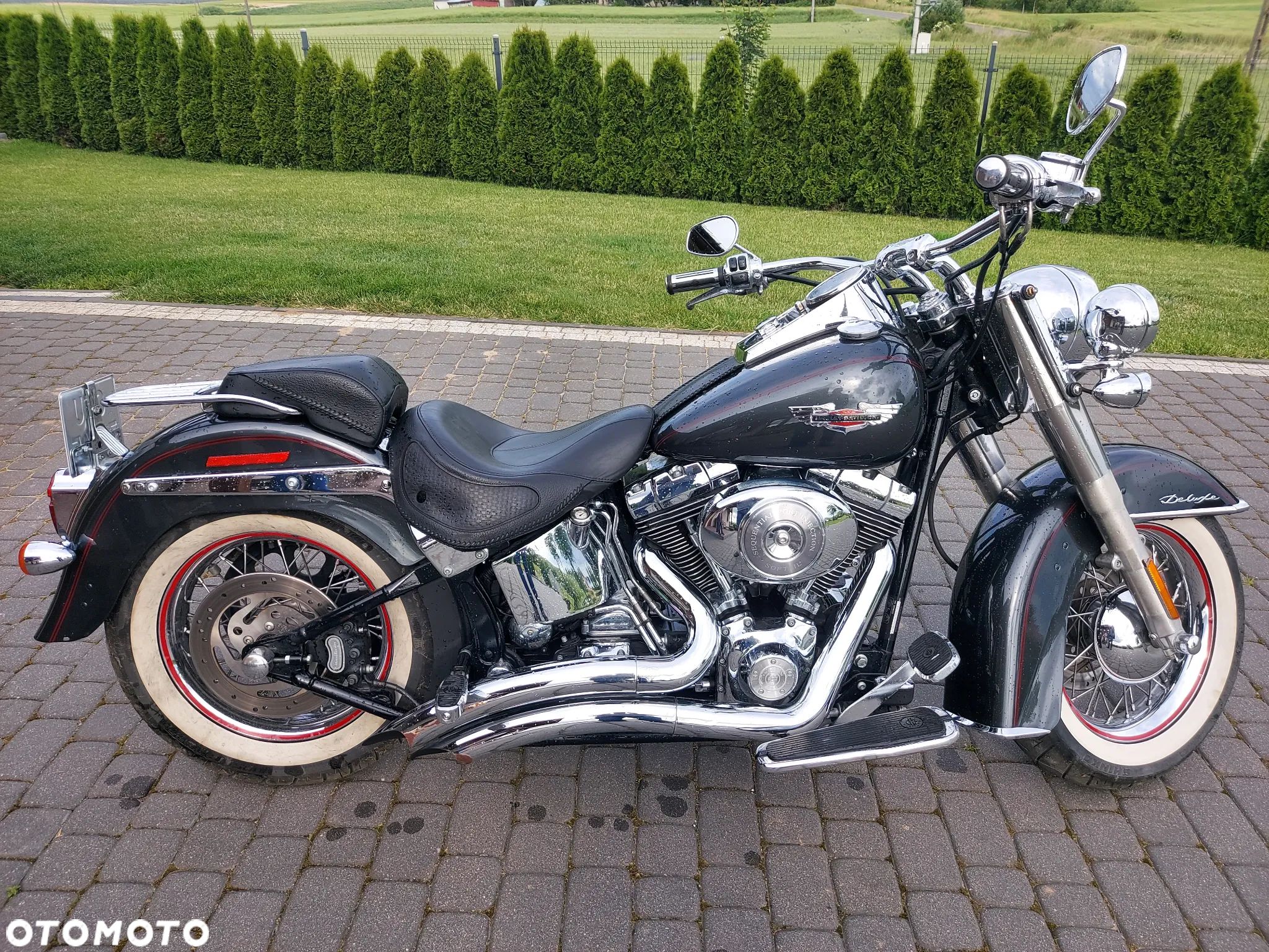 Harley-Davidson Softail Deluxe - 1