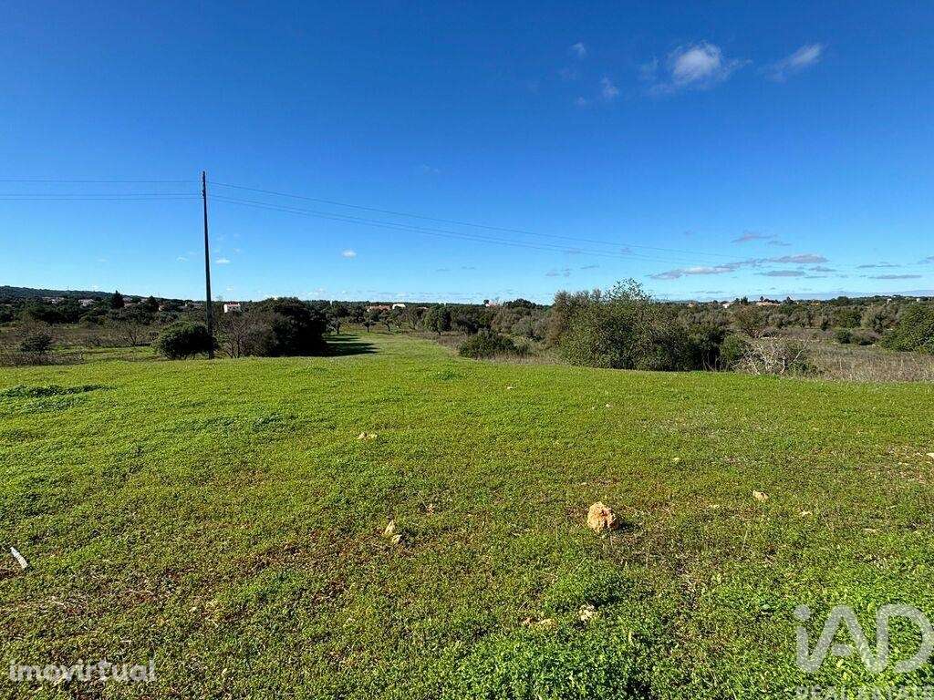 Terreno Agrícola em Paderne - Grande imagem: 3/4